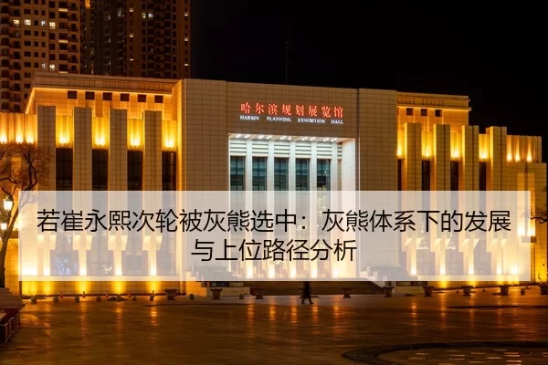 若崔永熙次轮被灰熊选中：灰熊体系下的发展与上位路径分析