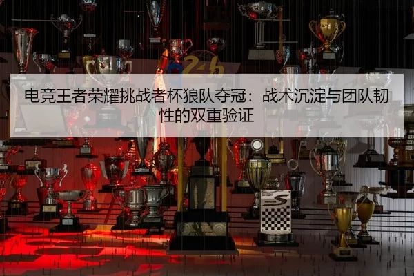 电竞王者荣耀挑战者杯狼队夺冠：战术沉淀与团队韧性的双重验证